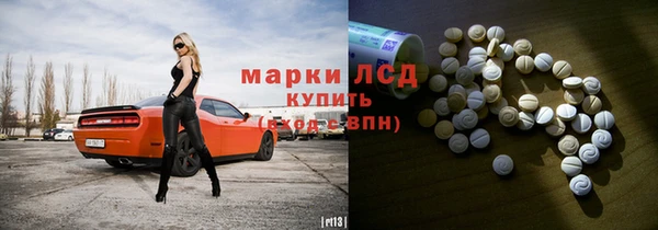 шишки Магадан
