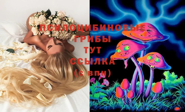 шишки Магадан