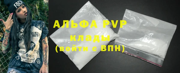 индика Магас