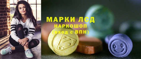 индика Магас
