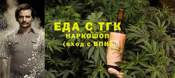 индика Магас