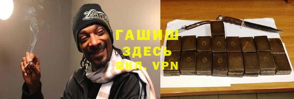 индика Магас