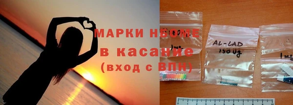 индика Магас