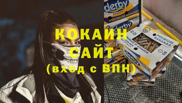 индика Магас