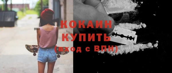 индика Магас