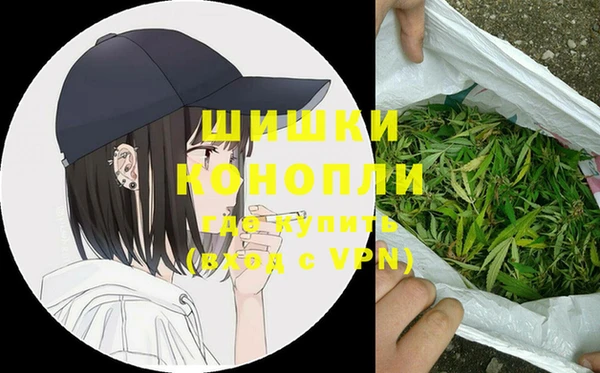 индика Магас