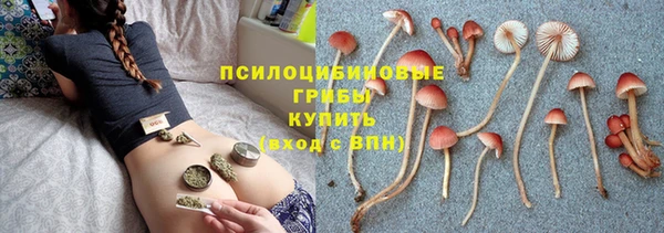 шишки Магадан