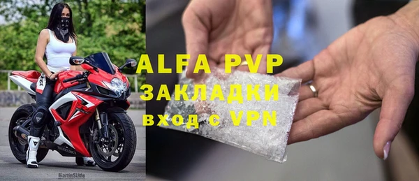 индика Магас