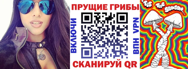 Псилоцибиновые грибы GOLDEN TEACHER  Новая Усмань 
