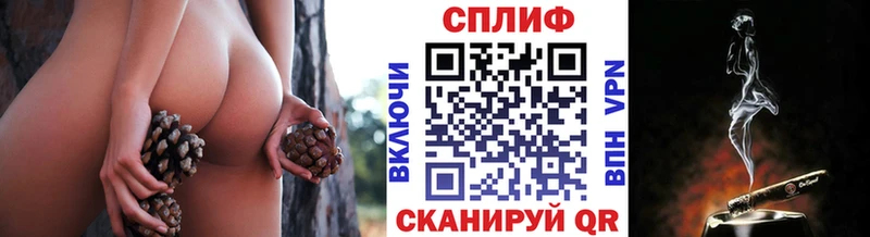 закладка Новая Усмань Бошки Шишки сатива